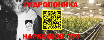 jwh Ставрополь