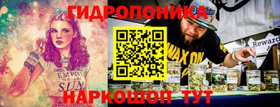 jwh Ставрополь