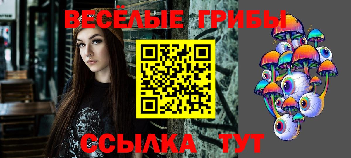 где купить наркоту  Вход с VPN  Новошахтинск  Псилоцибиновые грибы прущие грибы 